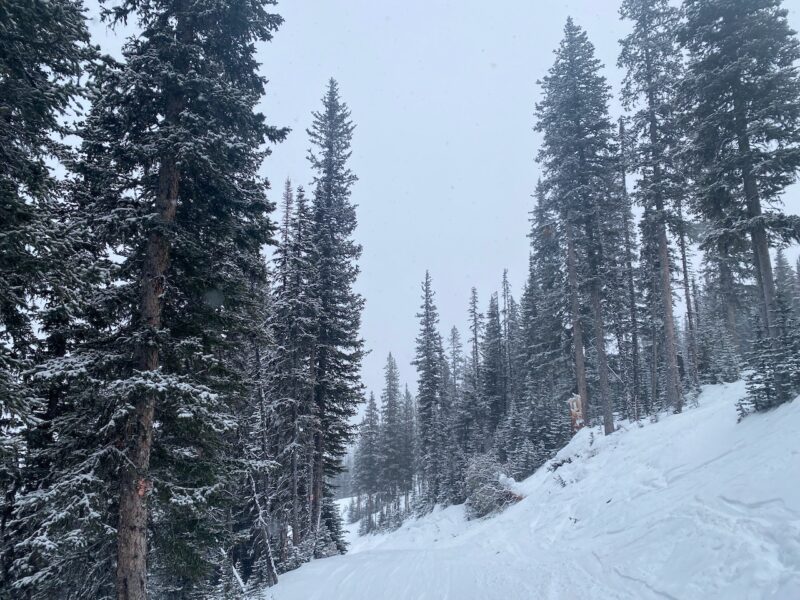 Nakiska, Alberta, Canada. Image © PlanetSKI